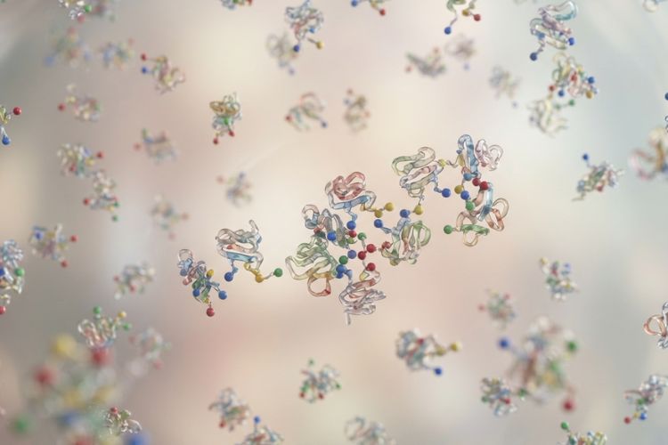 How Peptide Molecules Begin to Group Together